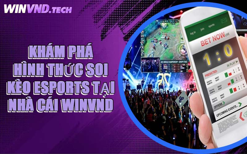 Khám Phá Hình Thức Soi Kèo Esports Tại Nhà Cái WINVND