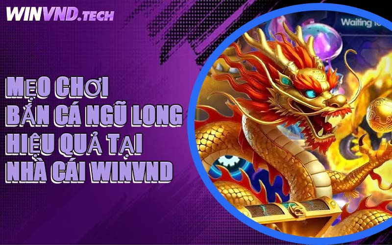 Mẹo Chơi Bắn Cá Ngũ Long Hiệu Quả Tại Nhà Cái WINVND