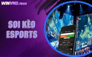 Soi Kèo Esports