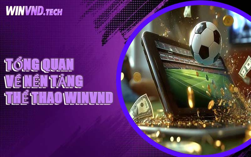 Tổng Quan Về Nền Tảng Thể Thao WINVND