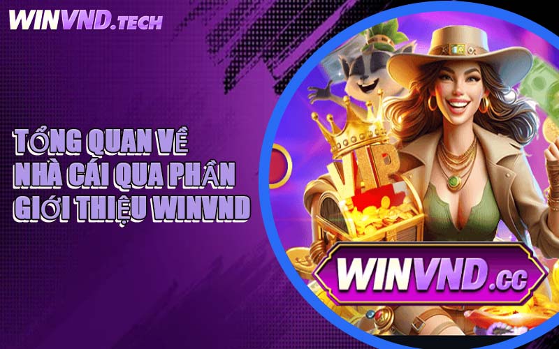Tổng Quan Về Nhà Cái Qua Phần Giới Thiệu WINVND